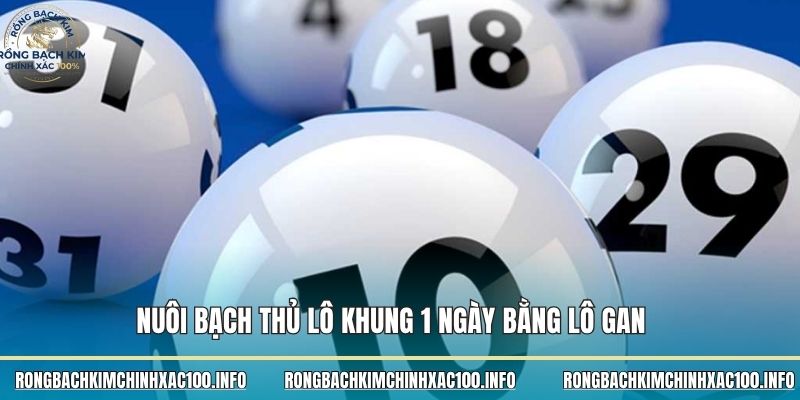 Nuôi bạch thủ lô khung 1 ngày bằng lô gan 
