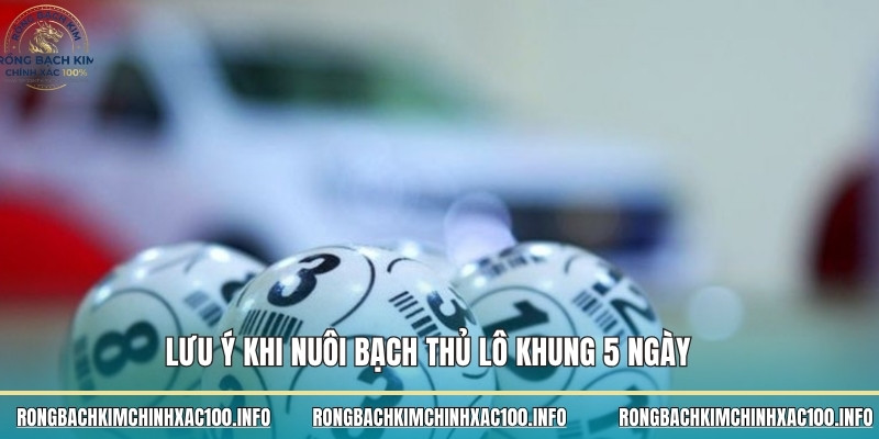 Lưu ý khi nuôi bạch thủ lô khung 5 ngày