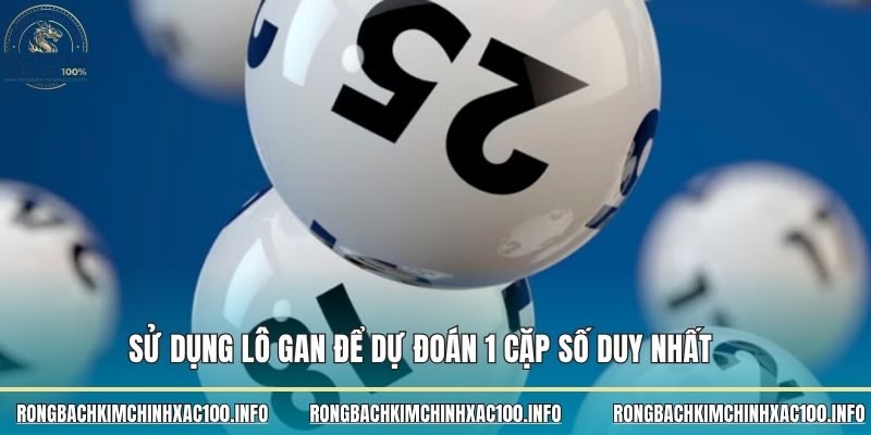 Sử dụng lô gan để dự đoán 1 cặp số duy nhất Sử dụng lô gan để dự đoán 1 cặp số duy nhất