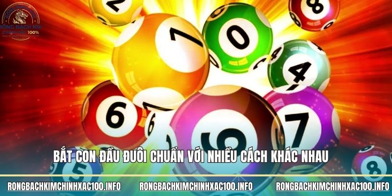 Bắt con đầu đuôi chuẩn với nhiều cách khác nhau