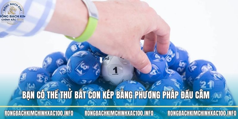 Bạn có thể thử bắt con kép bằng phương pháp đầu câm