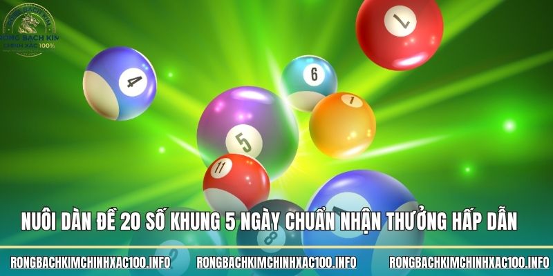 Nuôi dàn đề 20 số khung 5 ngày chuẩn nhận thưởng hấp dẫn