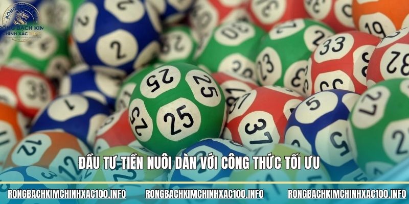 Đầu tư tiền nuôi dàn với công thức tối ưu