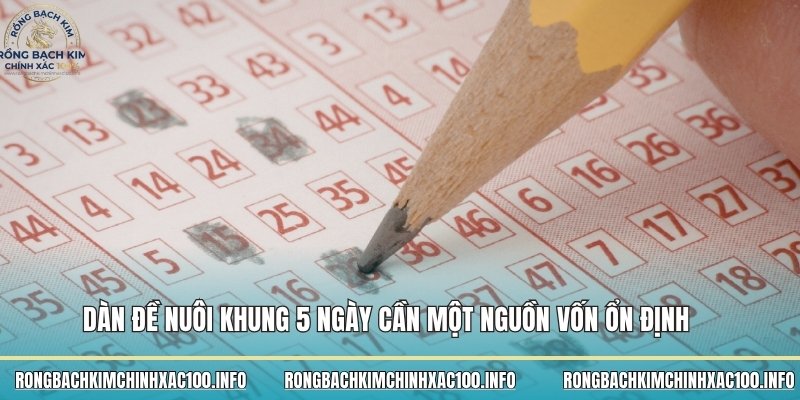 Nuôi đề khung 5 ngày