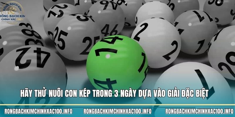 Hãy thử nuôi con kép trong 3 ngày dựa vào giải đặc biệt