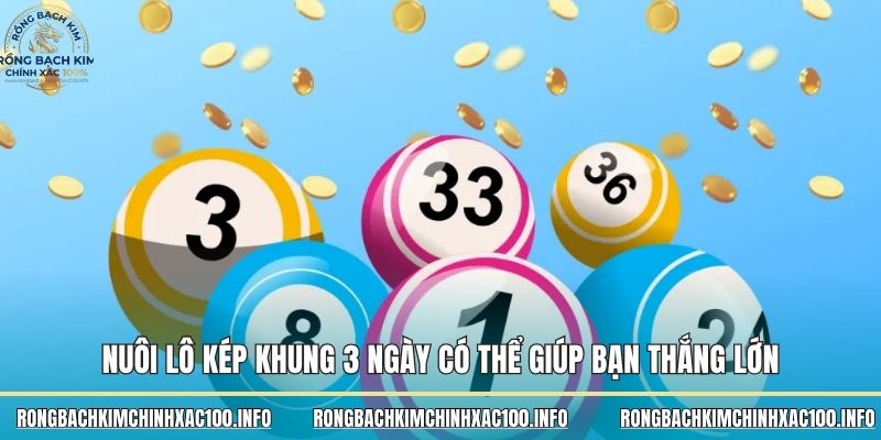 Nuôi lô kép khung 3 ngày có thể giúp bạn thắng lớn