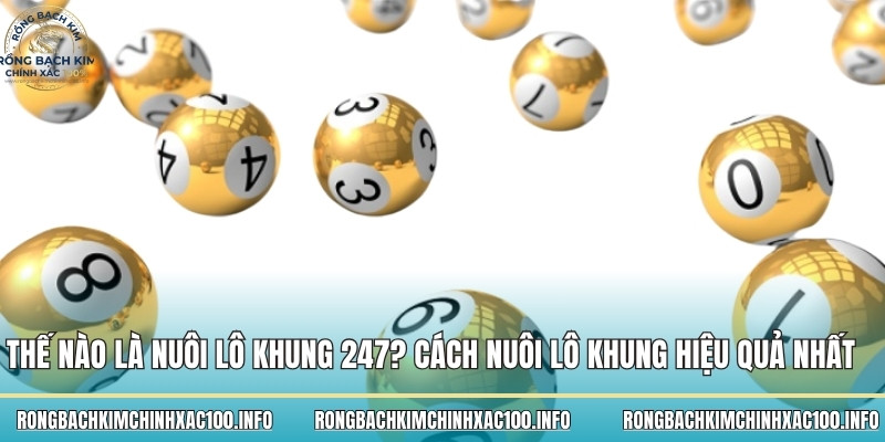 Nuôi lô khung 247