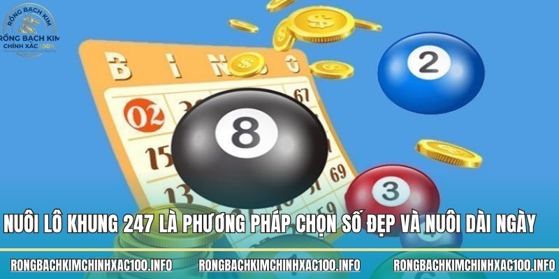 Nuôi lô 247