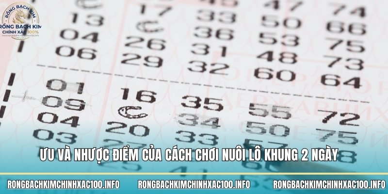 Ưu và nhược điểm của cách chơi nuôi lô khung 2 ngày