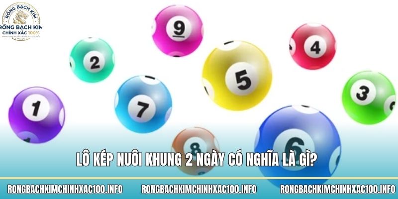 Lô kép nuôi khung 2 ngày có nghĩa là gì?