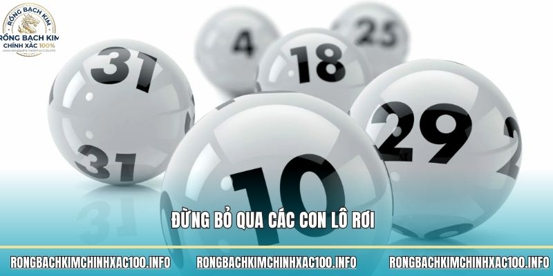 Đừng bỏ qua các con lô rơi