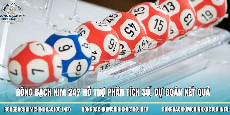  Rồng bạch kim 247 hỗ trợ phân tích số, dự đoán kết quả nhanh nhất