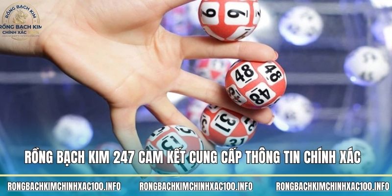 Rồng Bạch Kim 247 cam kết cung cấp thông tin chính xác 