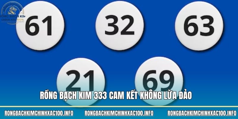 Rồng bạch kim 333 cam kết không lừa đảo
