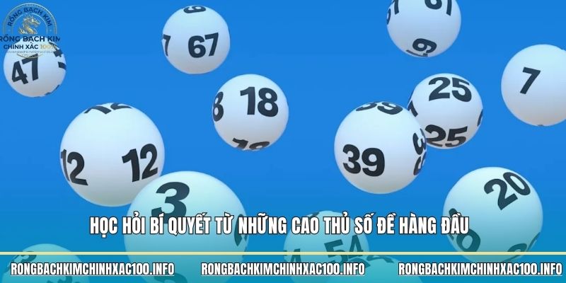 Học hỏi bí quyết từ những cao thủ số đề hàng đầu