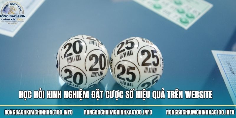 Học hỏi kinh nghiệm đặt cược số hiệu quả trên website 
