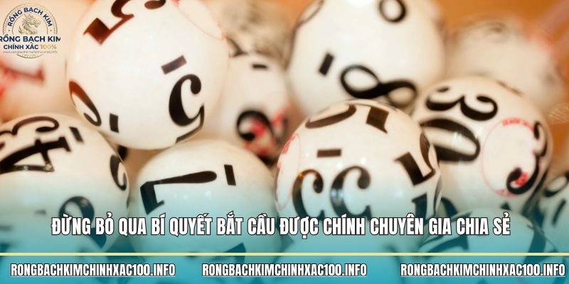 Đừng bỏ qua bí quyết bắt cầu được chính chuyên gia chia sẻ