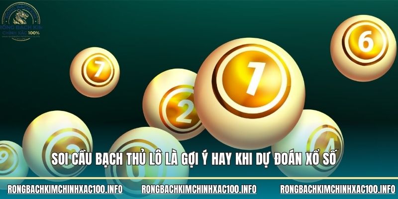 Soi cầu bạch thủ lô là gợi ý hay khi dự đoán xổ số