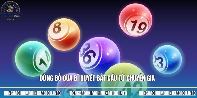 Đừng bỏ qua bí quyết bắt cầu từ chuyên gia