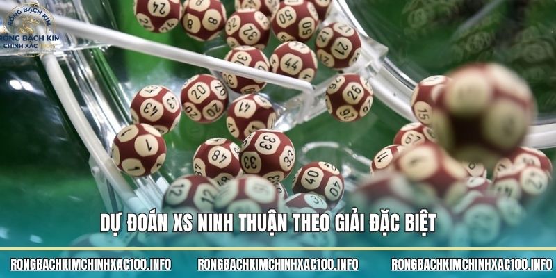 Dự đoán XS Ninh Thuận theo giải đặc biệt 