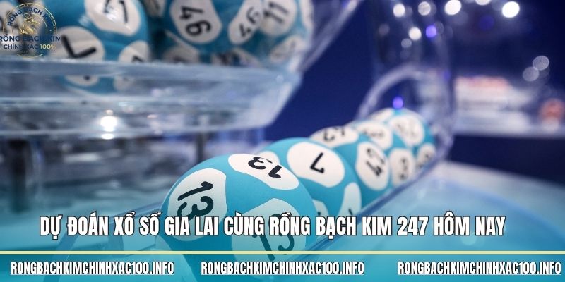 Dự đoán xổ số Gia Lai cùng Rồng bạch kim 247 hôm nay 