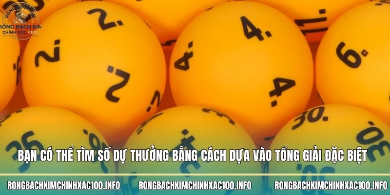 Bạn có thể tìm số dự thưởng bằng cách dựa vào tổng giải đặc biệt